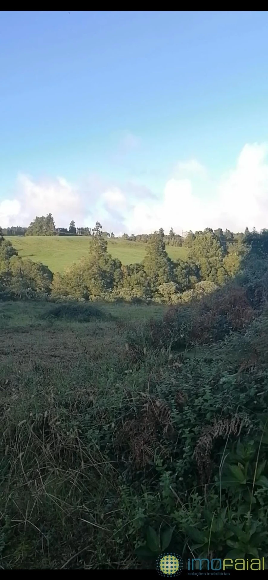 Terreno para Venda em Praia do Almoxarife Foto 5