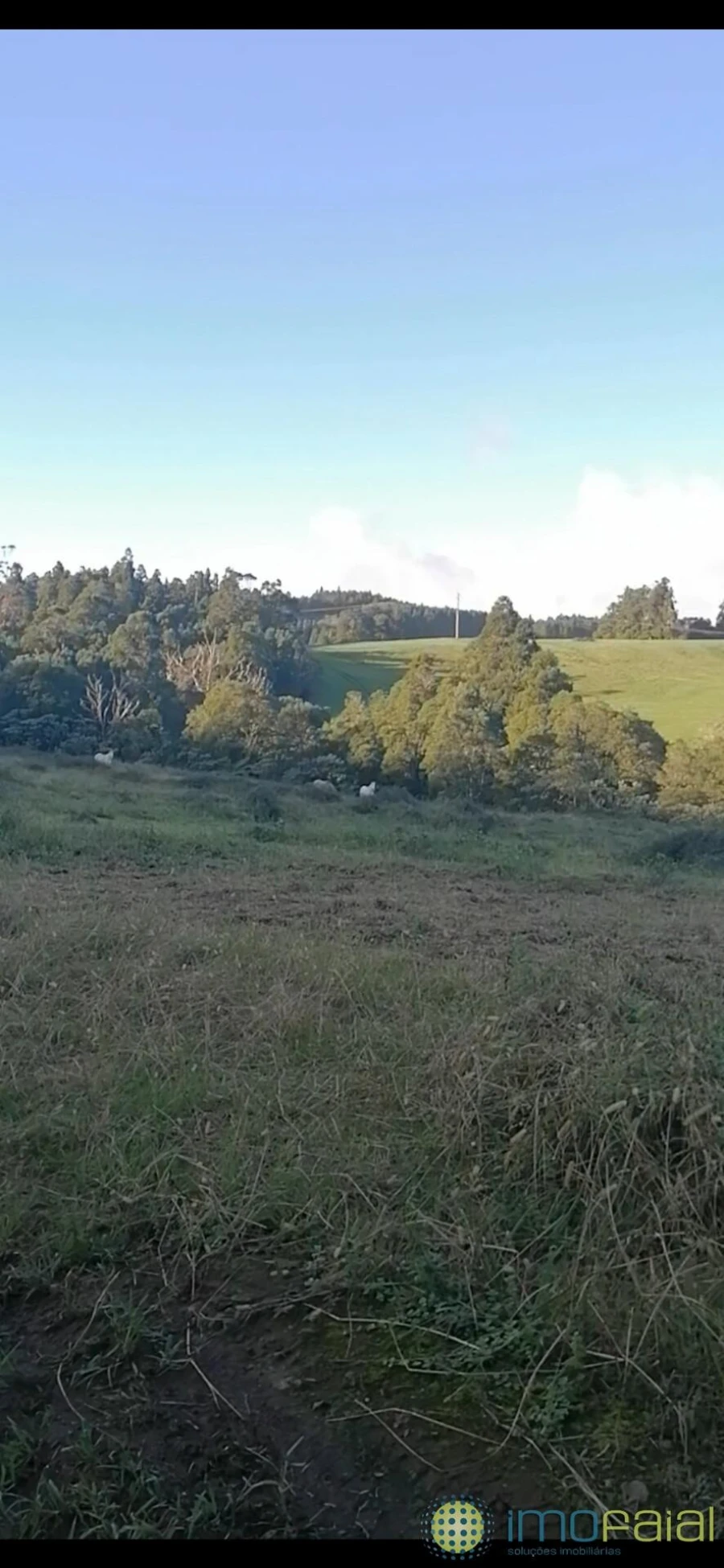 Terreno para Venda em Praia do Almoxarife Foto 4
