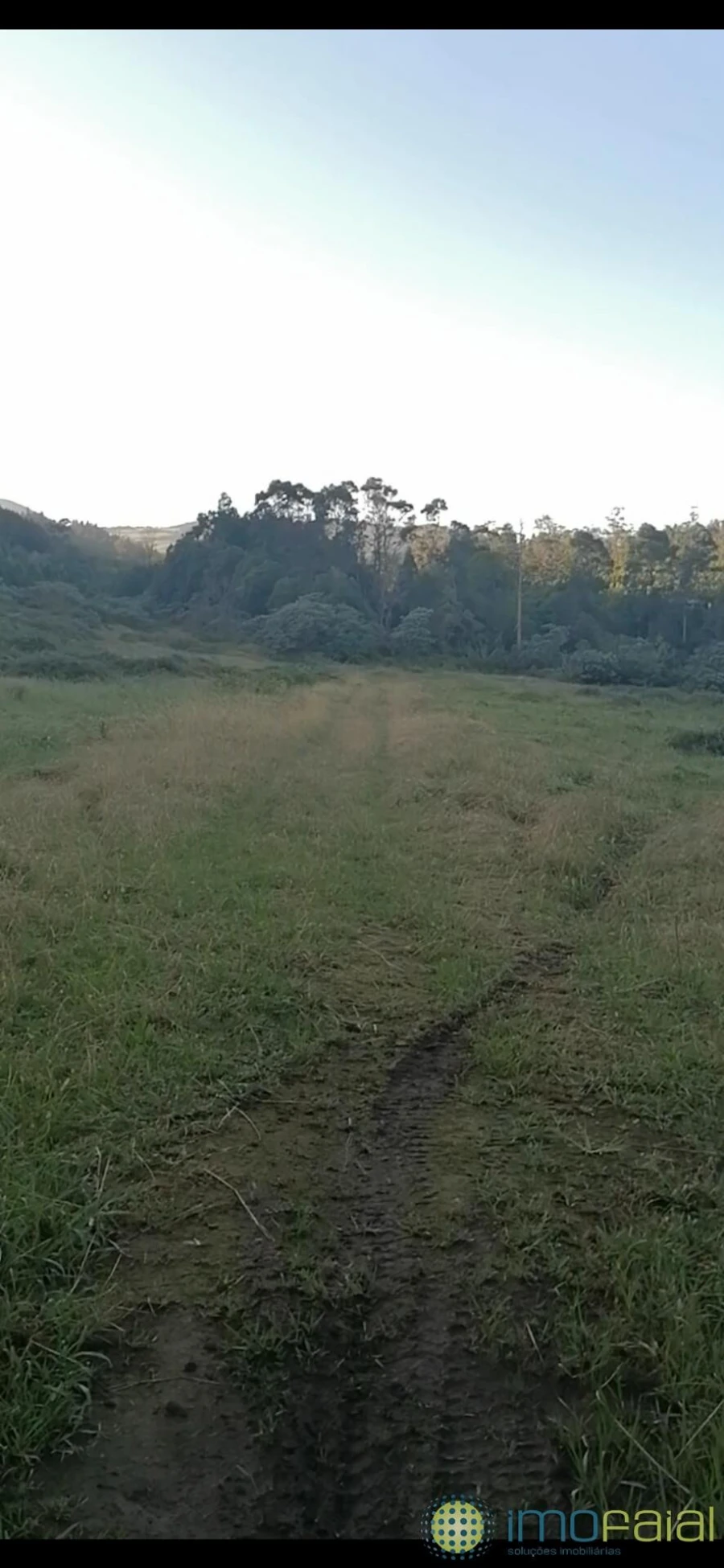 Terreno para Venda em Praia do Almoxarife Foto 3