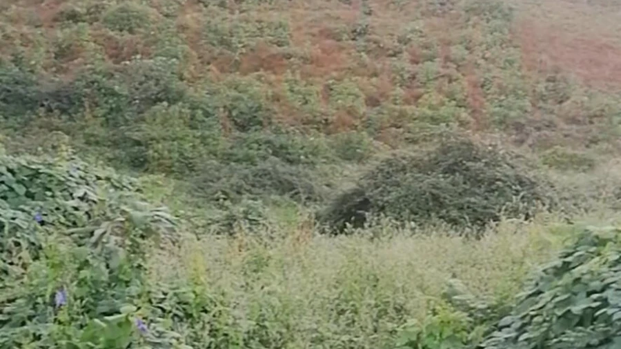 Terreno para Venda em Praia do Almoxarife