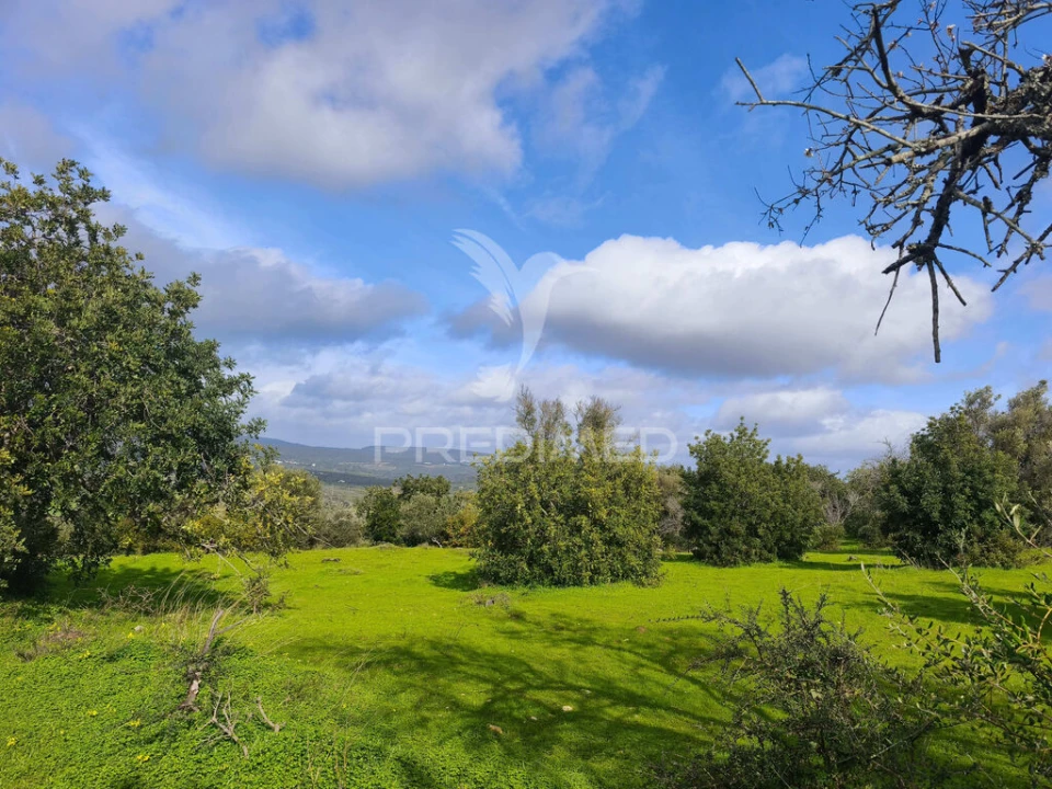 Terreno para Venda em Paderne Foto 5