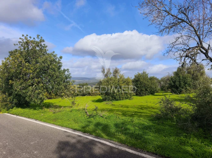 Terreno para Venda em Paderne Foto 1