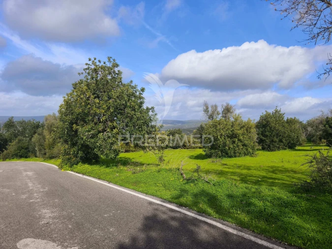 Terreno para Venda em Paderne Foto 2