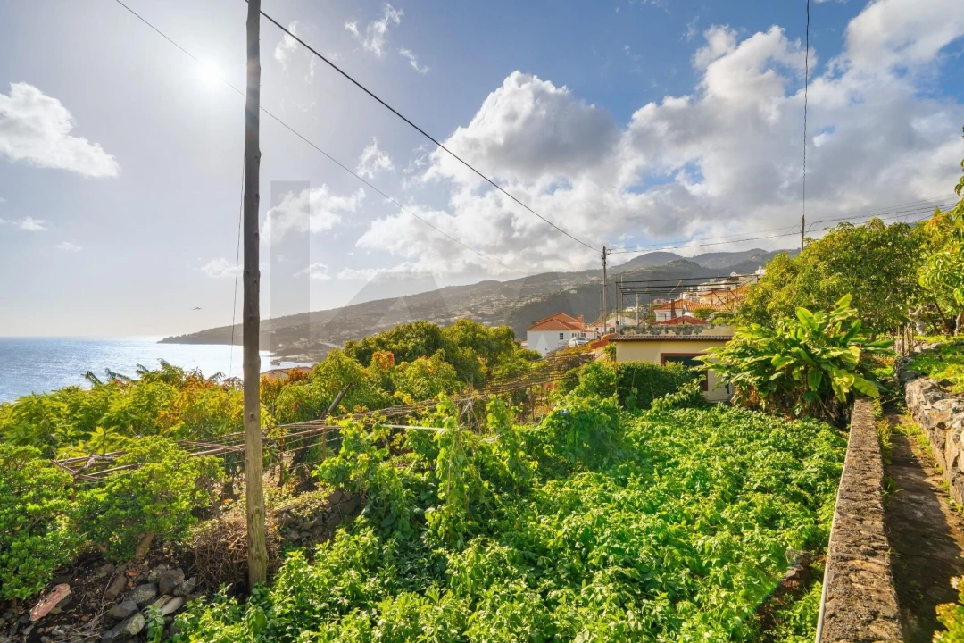 Moradia T4 para Venda em Santa Cruz Foto 25