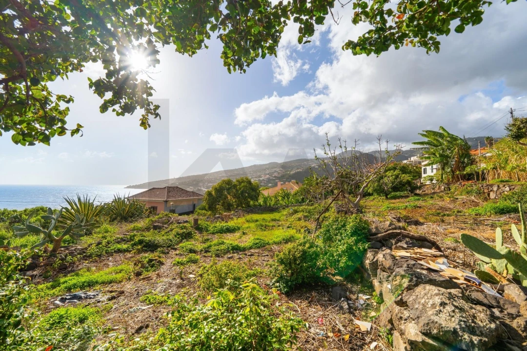 Moradia T4 para Venda em Santa Cruz Foto 8