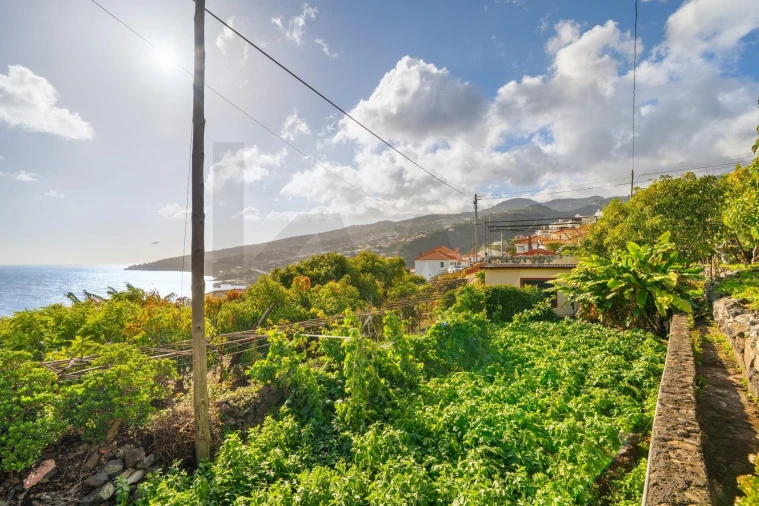 Moradia T4 para Venda em Santa Cruz Foto 25