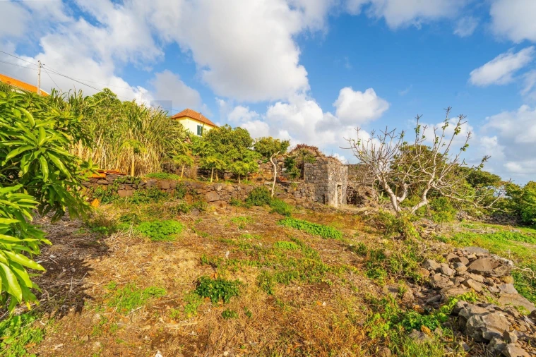 Moradia T4 para Venda em Santa Cruz Foto 23