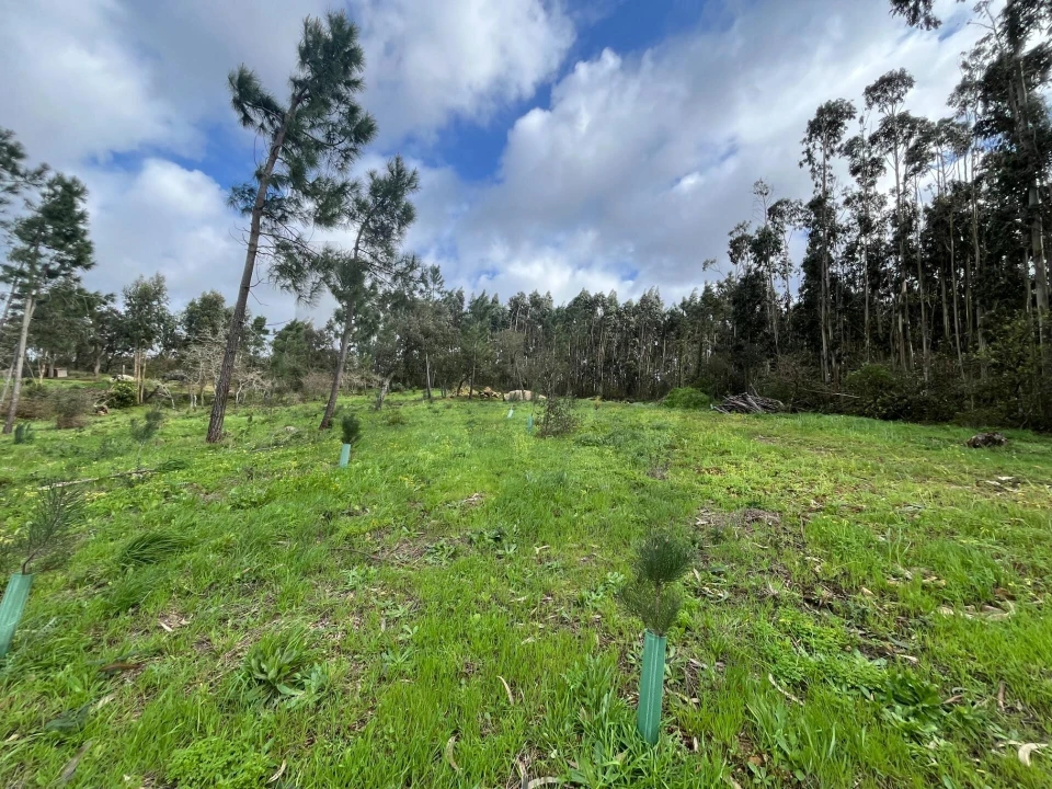 Terreno para Venda em Mafra Foto 2