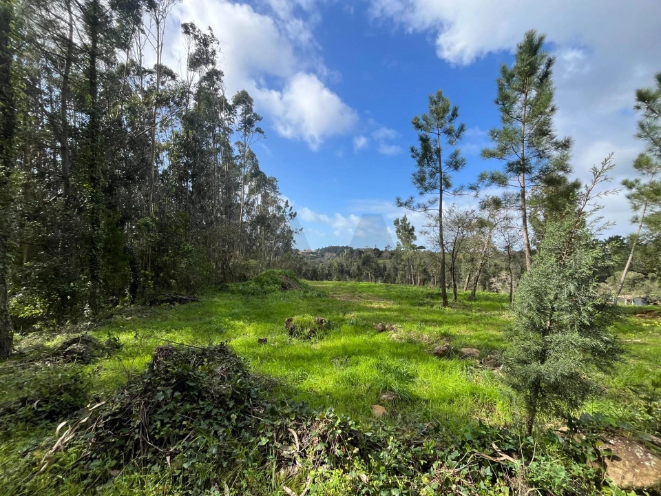 Terreno para Venda em Mafra Foto 22