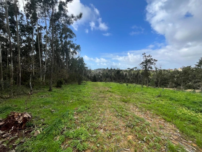 Terreno para Venda em Mafra Foto 10