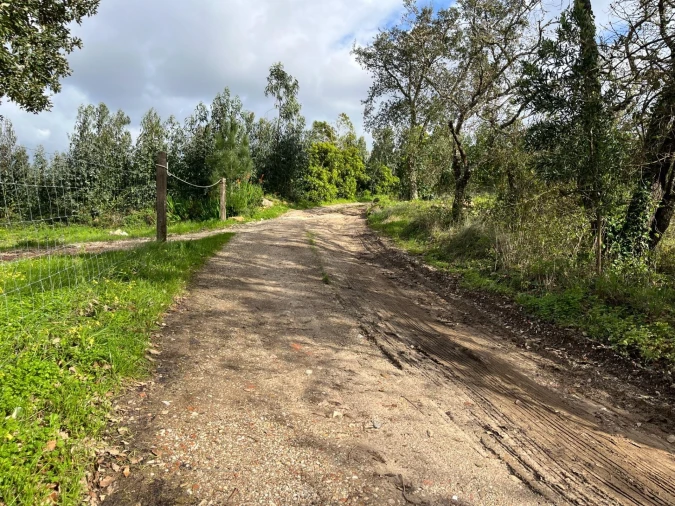 Terreno para Venda em Mafra Foto 19