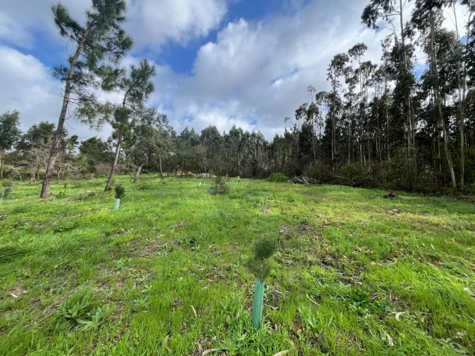 Terreno para Venda em Mafra Foto 7
