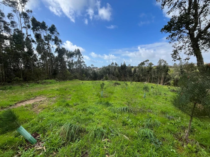 Terreno para Venda em Mafra Foto 9