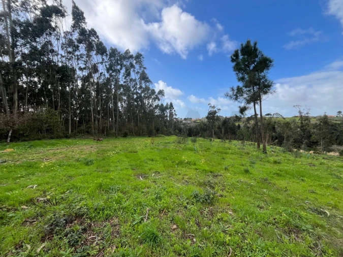 Terreno para Venda em Mafra Foto 21