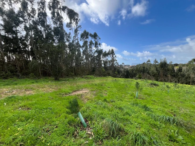 Terreno para Venda em Mafra Foto 8