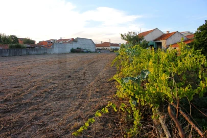 Terreno para Venda em Cacia
