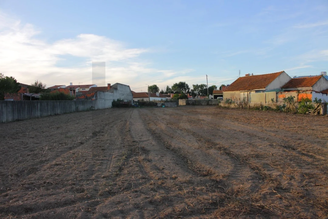 Terreno para Venda em Cacia Foto 4