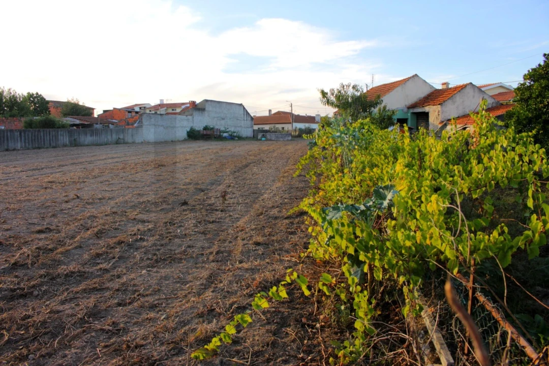 Terreno para Venda em Cacia Foto 3