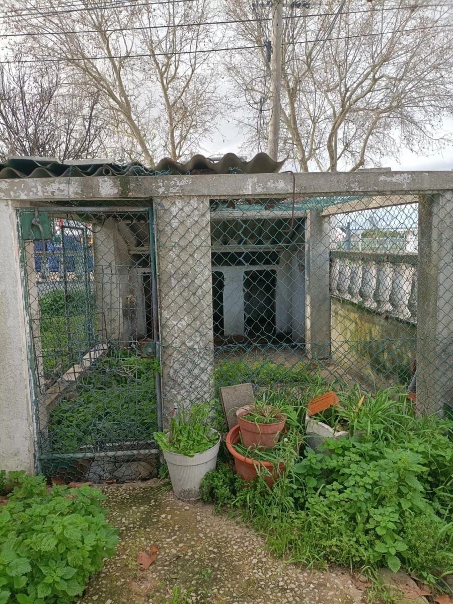 Moradia T3 para Venda em Moita Foto 50