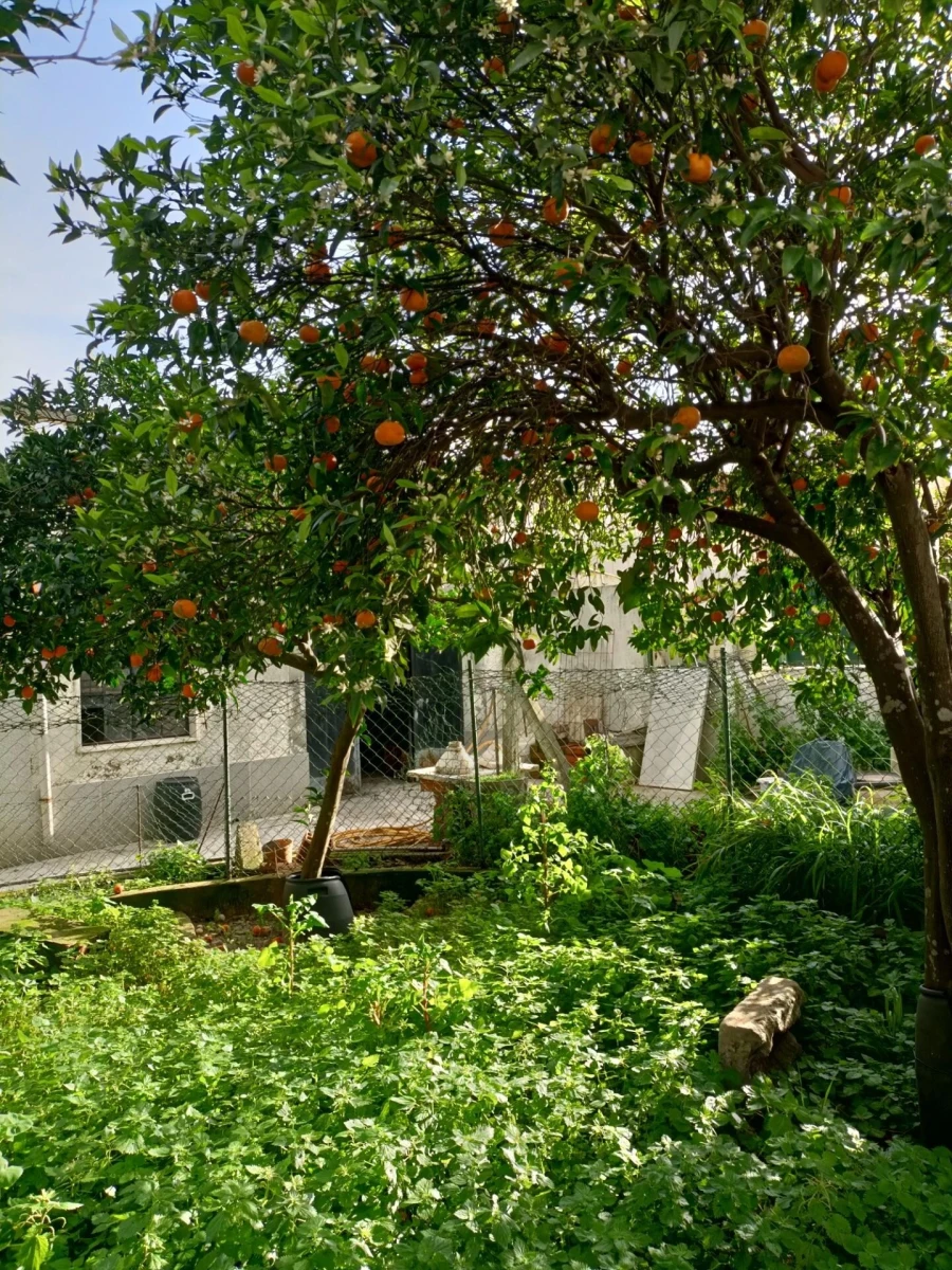 Moradia T3 para Venda em Moita Foto 48