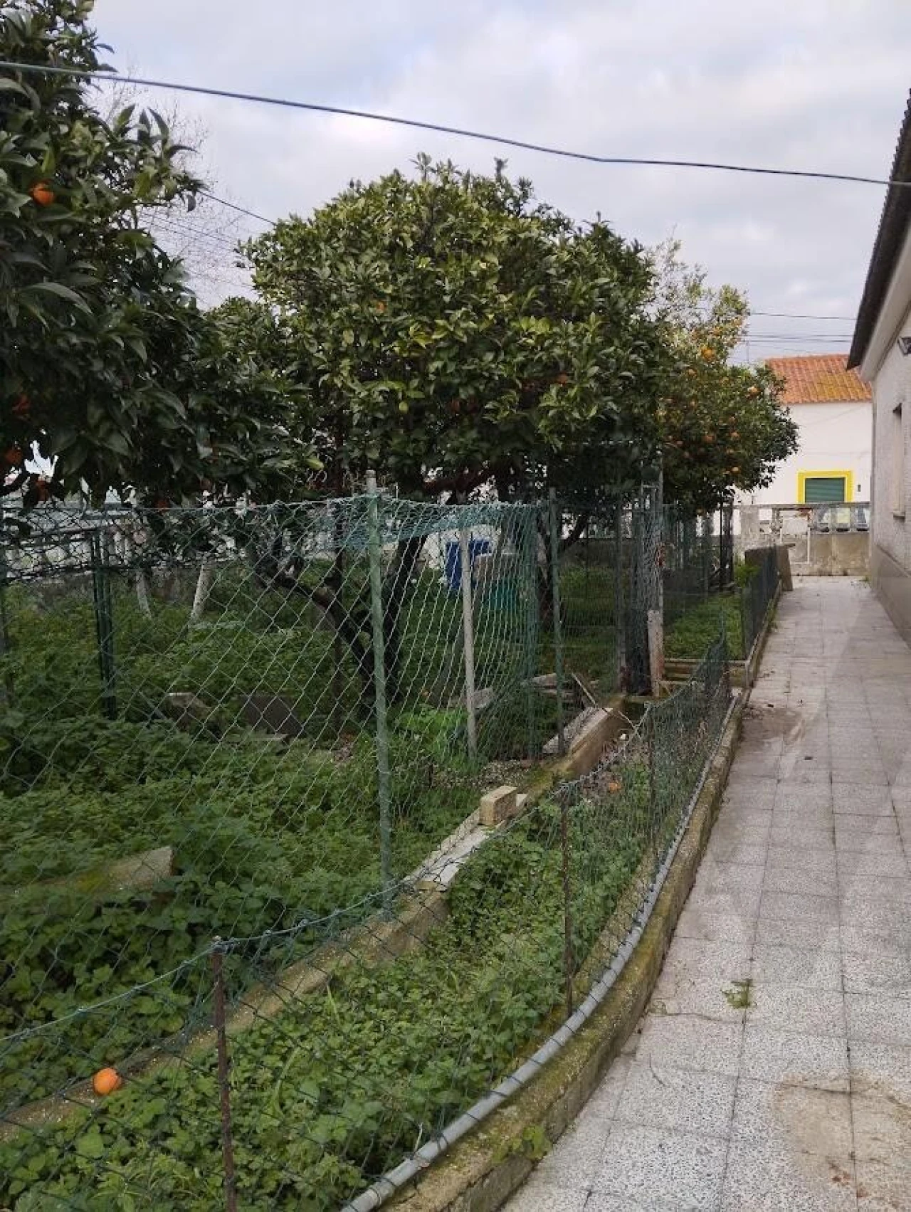 Moradia T3 para Venda em Moita Foto 49