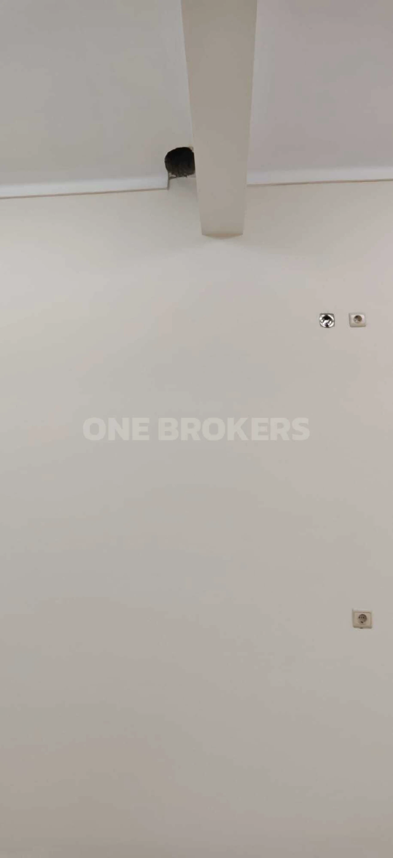 Loja para Venda em Cacém e São Marcos Foto 2