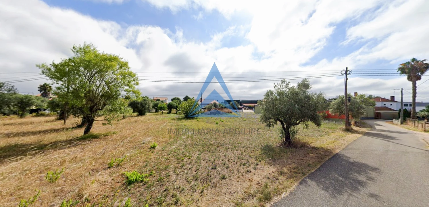 Terreno para Venda em Madalena e Beselga Foto 10