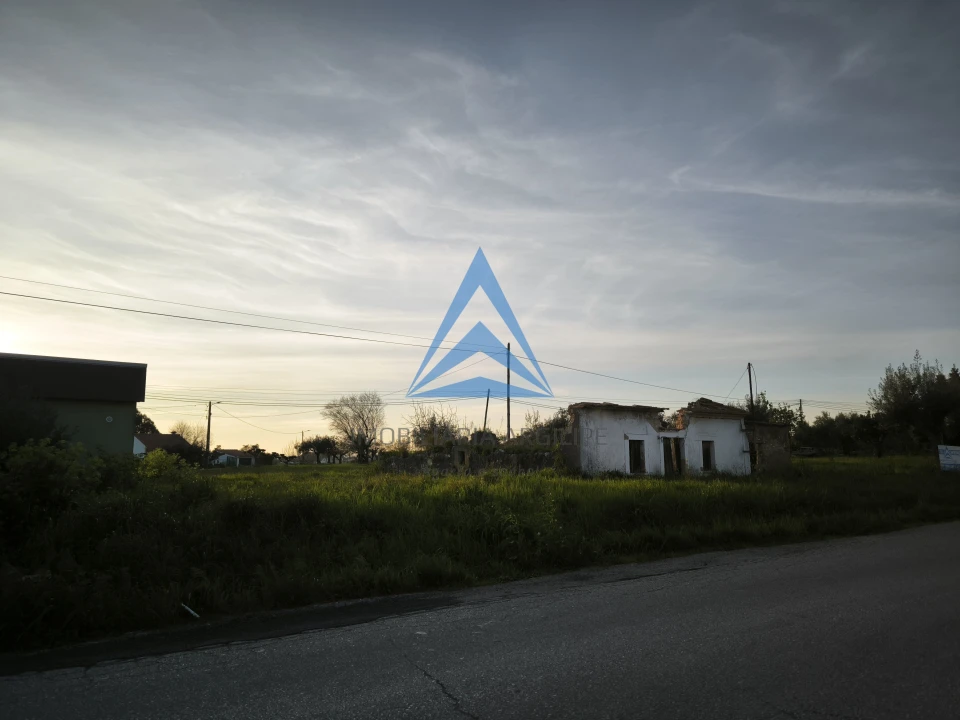 Terreno para Venda em Madalena e Beselga Foto 19