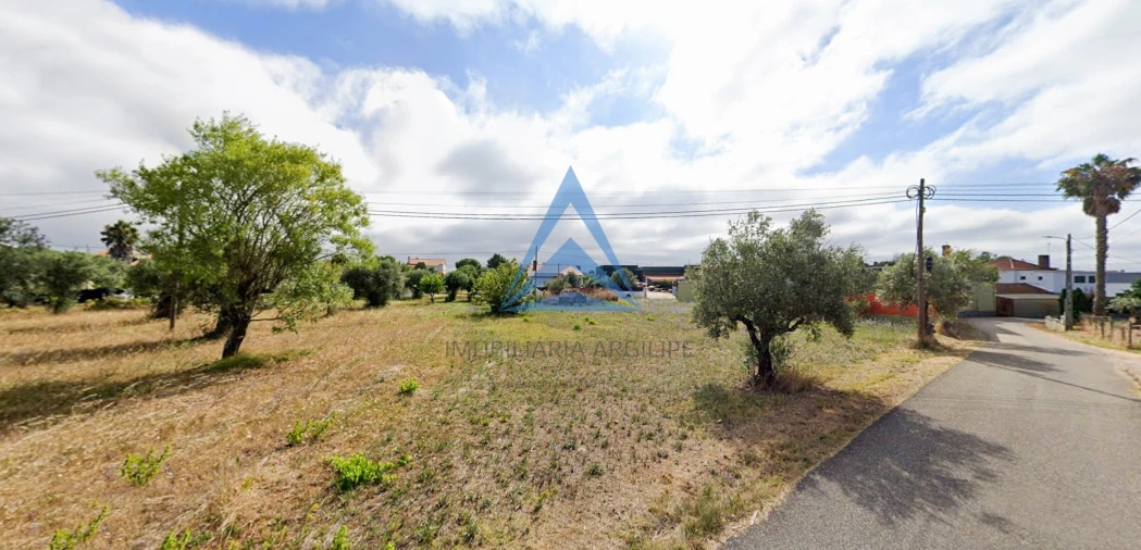 Terreno para Venda em Madalena e Beselga Foto 10