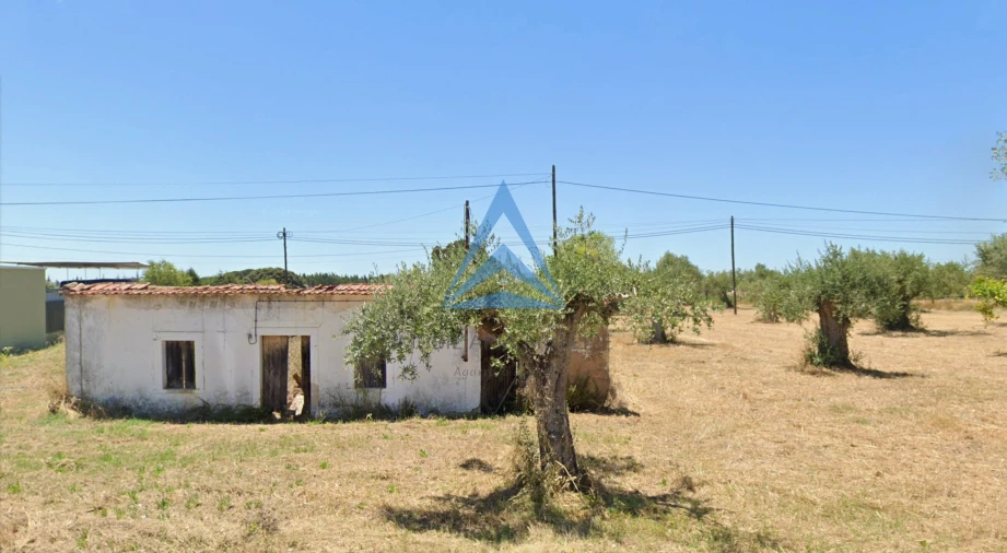 Terreno para Venda em Madalena e Beselga Foto 7