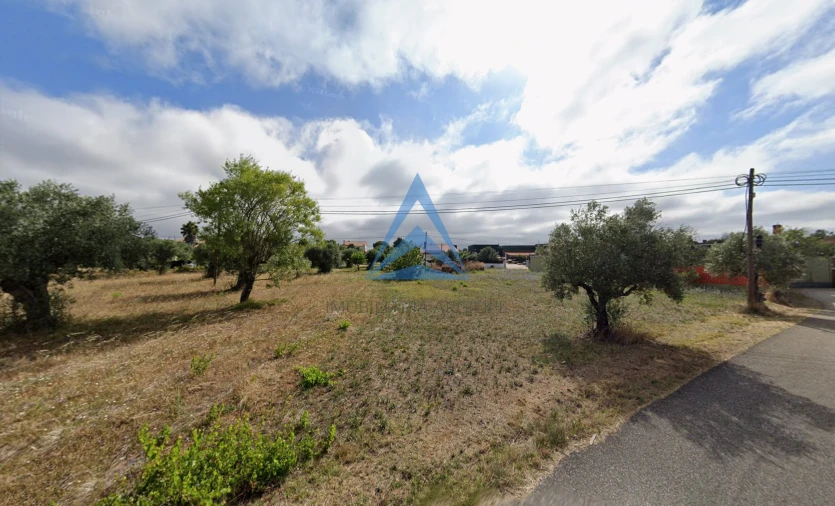 Terreno para Venda em Madalena e Beselga Foto 9