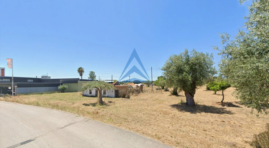 Terreno para Venda em Madalena e Beselga Foto 4