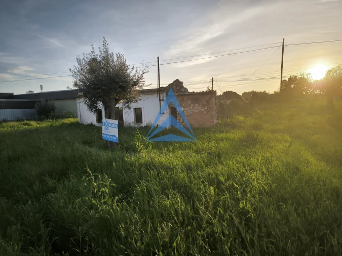 Terreno para Venda em Madalena e Beselga Foto 17