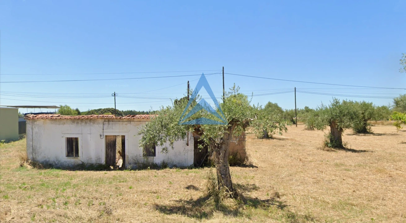 Terreno para Venda em Madalena e Beselga Foto 7