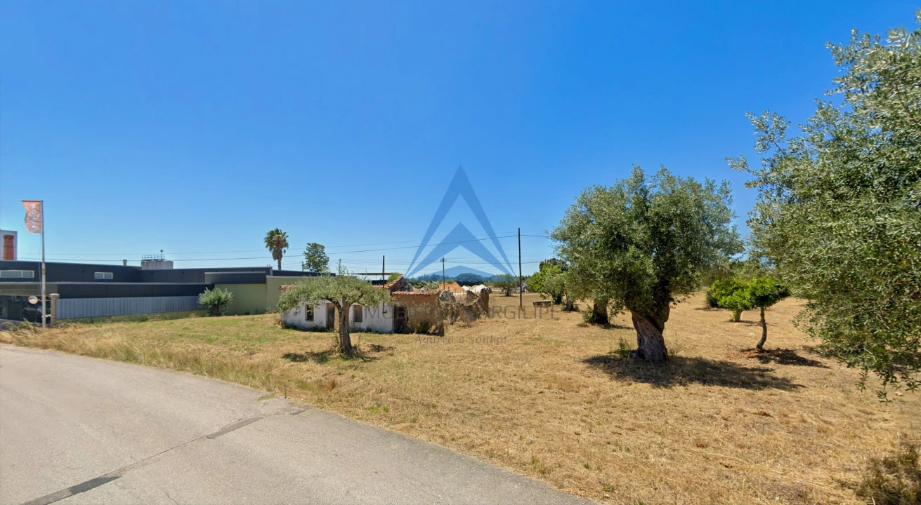 Terreno para Venda em Madalena e Beselga Foto 3