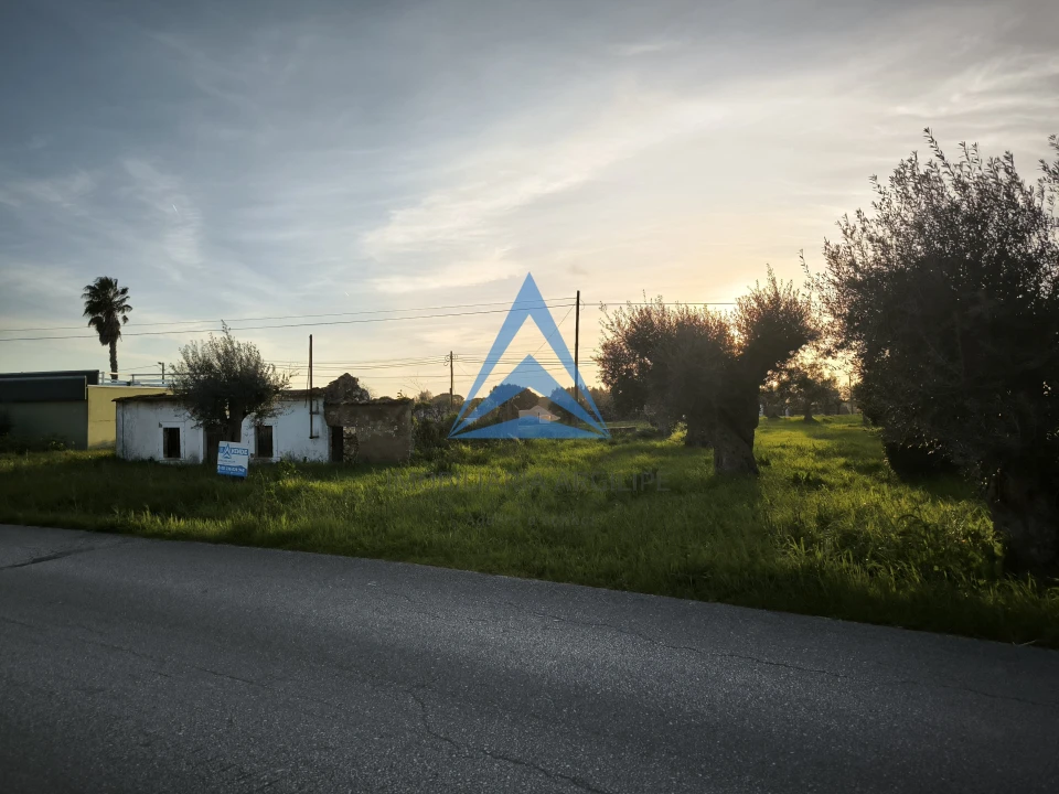 Terreno para Venda em Madalena e Beselga Foto 20