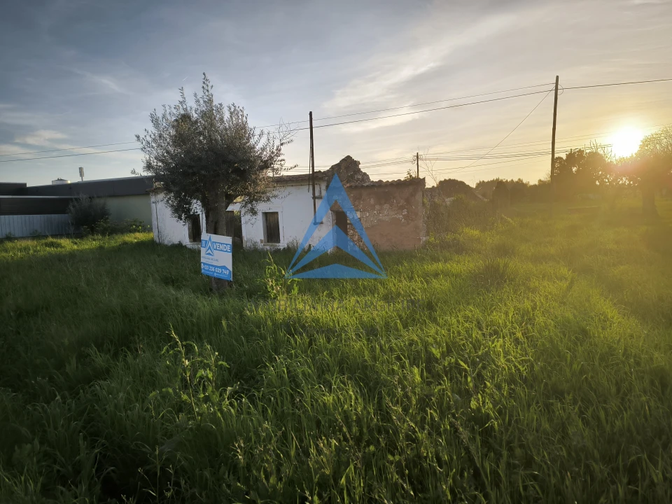 Terreno para Venda em Madalena e Beselga Foto 17