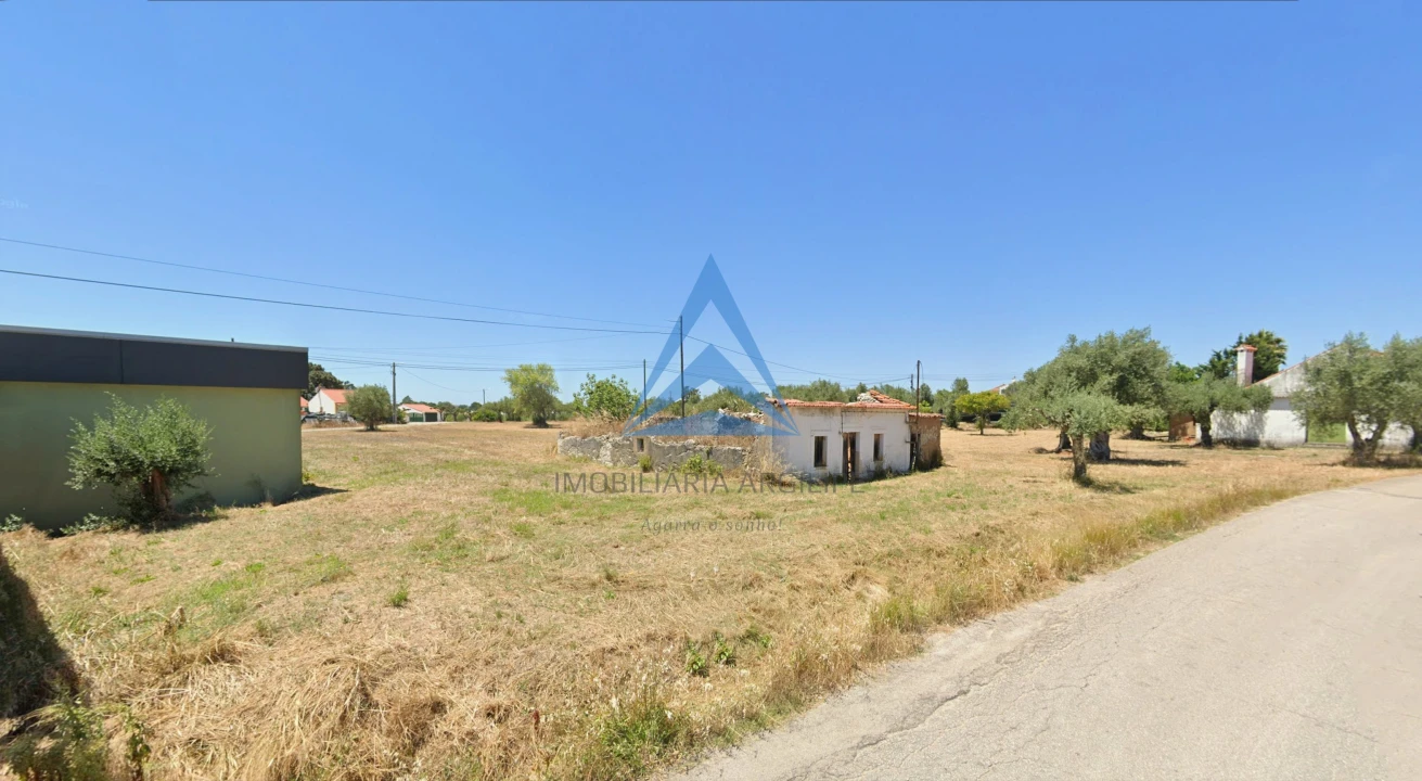 Terreno para Venda em Madalena e Beselga Foto 5