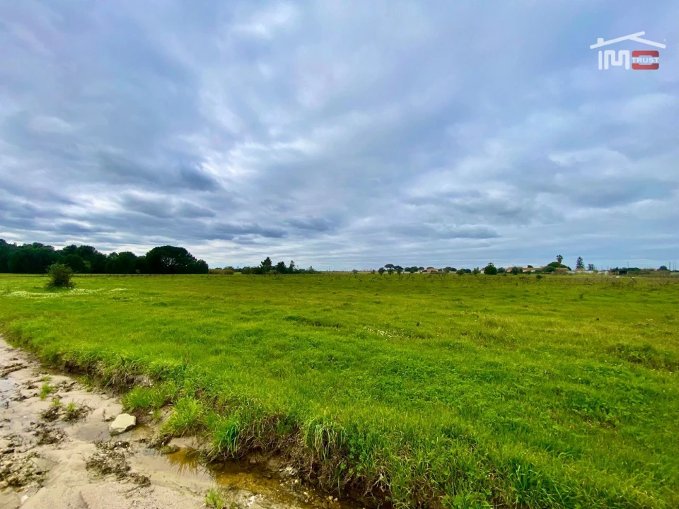 Terreno Agricola ou Rústico para Venda em Poceirão e Marateca Foto 15