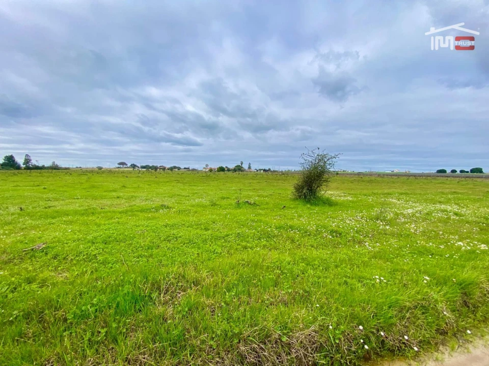 Terreno Agricola ou Rústico para Venda em Poceirão e Marateca Foto 24