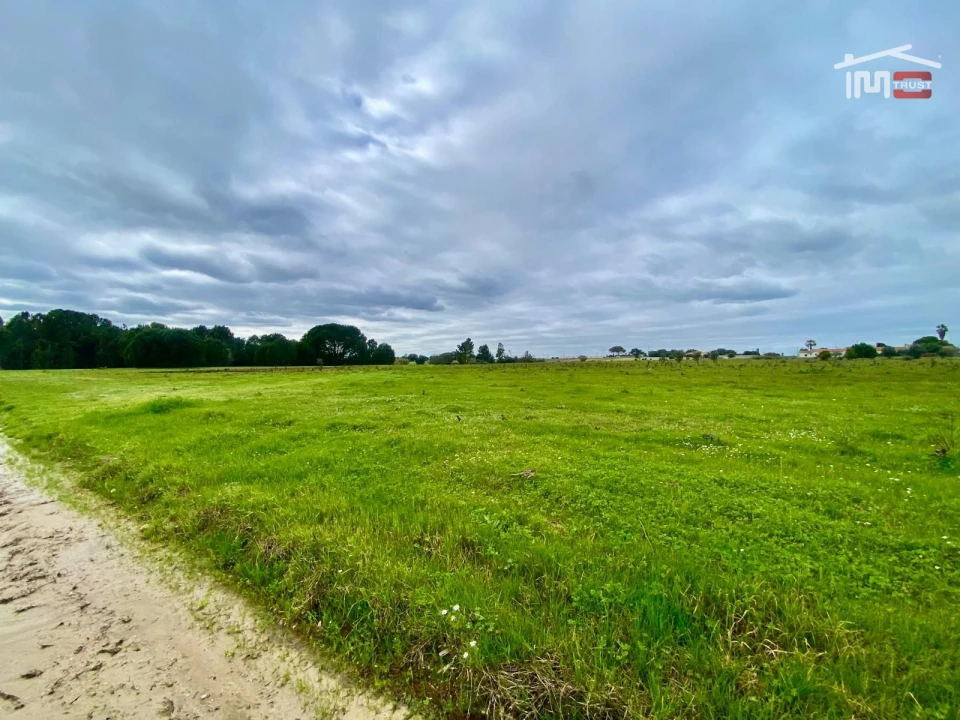 Terreno Agricola ou Rústico para Venda em Poceirão e Marateca Foto 26