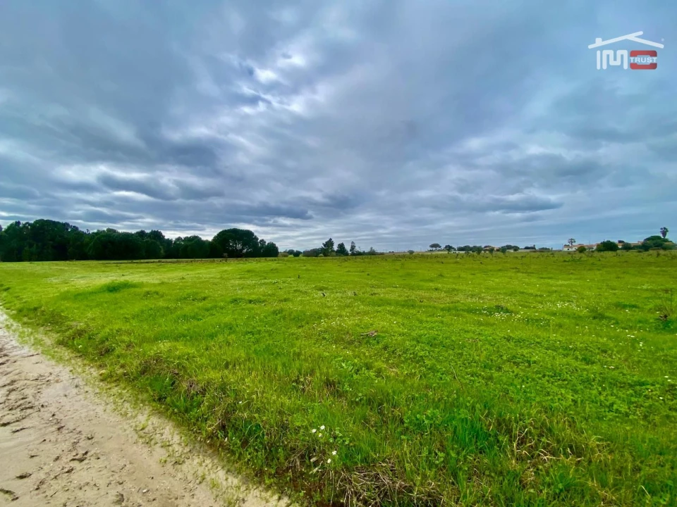 Terreno Agricola ou Rústico para Venda em Poceirão e Marateca Foto 27