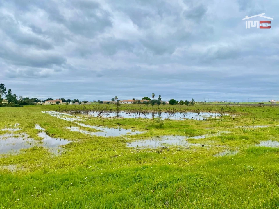 Terreno Agricola ou Rústico para Venda em Poceirão e Marateca Foto 31