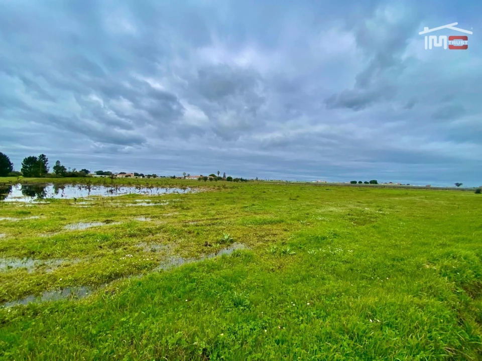 Terreno Agricola ou Rústico para Venda em Poceirão e Marateca Foto 35