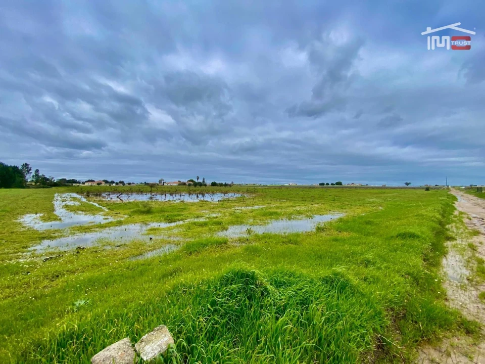 Terreno Agricola ou Rústico para Venda em Poceirão e Marateca Foto 7