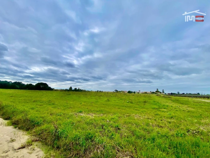 Terreno Agricola ou Rústico para Venda em Poceirão e Marateca Foto 3