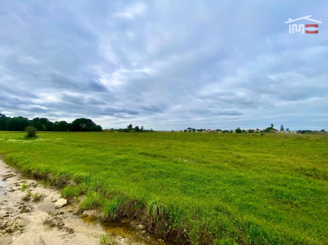 Terreno Agricola ou Rústico para Venda em Poceirão e Marateca Foto 14