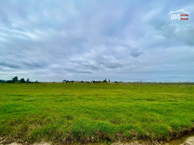 Terreno Agricola ou Rústico para Venda em Poceirão e Marateca Foto 16