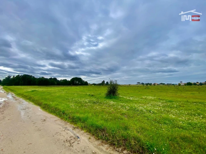Terreno Agricola ou Rústico para Venda em Poceirão e Marateca Foto 4