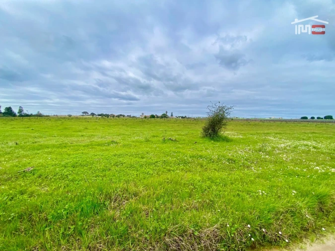 Terreno Agricola ou Rústico para Venda em Poceirão e Marateca Foto 22